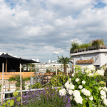 Le Perchoir à Paris