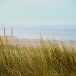 Hauts-de-France : la liste des plages ouvertes ce week-end des 16 et 17 mai