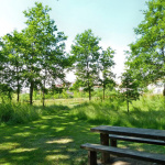 Rendez-vous aux Jardins 2019 au Parc de Groussay