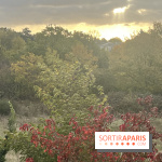 Tempête Benjamin : parcs et jardins fermés en Île-de-France