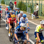 Tour de France 2025 : l'essentiel des infos et actualités à ne pas manquer sur la Grande Boucle