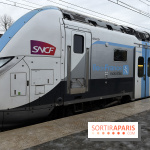 Tempête Goretti : la circulation des transiliens coupée à Saint-Lazaree