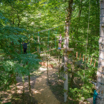 Jumping Forest, le parcours d'accrobranche ludique en forêt en seine-et-Marne (77)