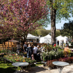Hauts-de-Seine, le salon VertAvril attend les fans de jardins
