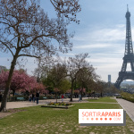 Les cerisiers du Trocadéro fleurissent avec de l'avance en ce printemps 2026