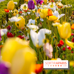 Où voir des tulipes à Paris ?