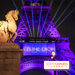 Concert de Céline Dion : 9 millions de pré-inscriptions, un record !