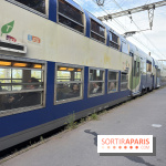 Métro, RER : travaux et perturbations du 19 au 25 octobre 2026