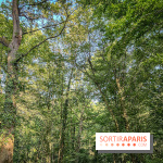 Forest Nights 2023 à Seine-Saint-Denis (93): le programme