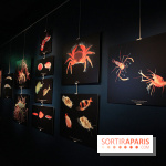 Exposition coquillages et crustacés à l'aquarium de la Porte Dorée