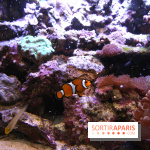 Aquarium de la Porte Dorée à Paris