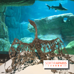 Aquarium de Paris : La Fabrique des profondeurs, l'exposition de Lionel Sabatté