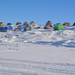 L'Incroyable Femme des neiges : un voyage au Groenland avec Blanche Gardin et Philippe Katerine