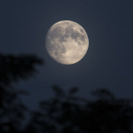 Fête de la Lune ou fête de la mi-automne : histoire et origine 