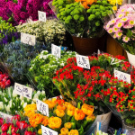 Soutien aux petits commerces : Bruno Le Maire demande aux bailleurs de renoncer au loyer de novembre