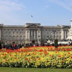 Jubilé de platine d'Elizabeth II : Diana Ross, Elton John... où suivre en direct le concert géant ?