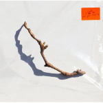 PJ Harvey : sortie cet été de son 10e album "I Inside the Old Year Dying"