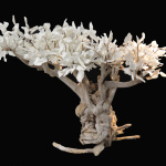 fête de la création Saint-Jean de Beauregard