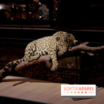 Grande Galerie de l'Evolution