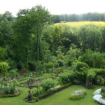 Rendez-vous aux Jardins 2026 : une visite exceptionnelle d’une roseraie privée dans les Yvelines