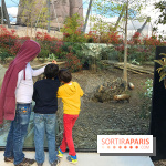 Zoo de Vincennes, Parc Zoologique de Paris 2017