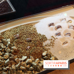 Vente aux Enchères Christian Bernard