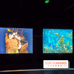 Rose Lowder au Palais de Tokyo : la nature image par image dans une exposition de films