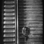 Raymond Depardon dans 