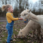 Malowe Nature, ferme en permaculture et étangs de pêche : nouveautés 2024