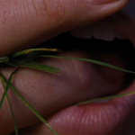 Hurlevent : Margot Robbie et Jacob Elordi au cinéma en 2026