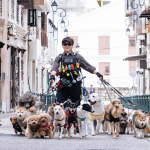 The Shadow’s Edge : Jackie Chan dans un thriller d’action