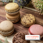 Pierre Hermé Macaron