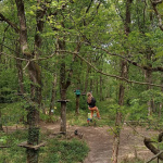 Le Parcours Lémuriens à Champagne sur Seine