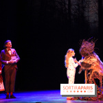 Emilie Jolie, la comédie musicale 2017/2018