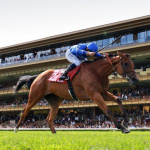 Qatar Arc Trials à l'Hippodrome Paris Longchamp 