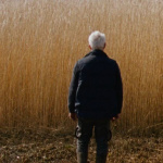 Rietland (Reedland) de Sven Bresser, en sélection à la Semaine de la Critique 2025