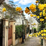 Promenade dans le quartier de la Mouzaïa
