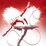 Les Souliers Rouges aux Folies Berg&egrave;re, notre critique