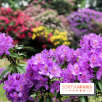 L'Arboretum de Versailles - Chevreloup