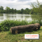 L'Arboretum de Versailles - Chevreloup