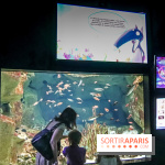 Loup préserve les océans à l'Aquarium de Paris, les photos