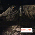 Dinosaure, la vie en grand au Muséum