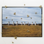 Guerlain x UNESCO, "Piquées" une exposition photo engagée et inspirante