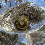 Nuit des Musées 2023 autour du Cyclop de Jean Tinguely et Nikki de Saint Phalle, en Essonne (91)