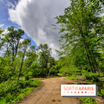 Visuel Paris balade forêt île de france