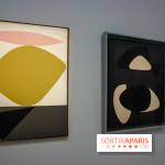 Exposition Vasarely Centre Pompidou, nos photos