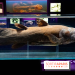 Océan, l'exposition à la Grande Galerie de l'Evolution