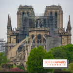 Notre Dame de Paris, les photos des dégâts