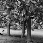 Sebastiao Salgado à l'honneur dans une exposition de photos gratuite à l'Hôtel de Ville de Paris