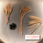 Je mange donc je suis au Musée de l'Homme